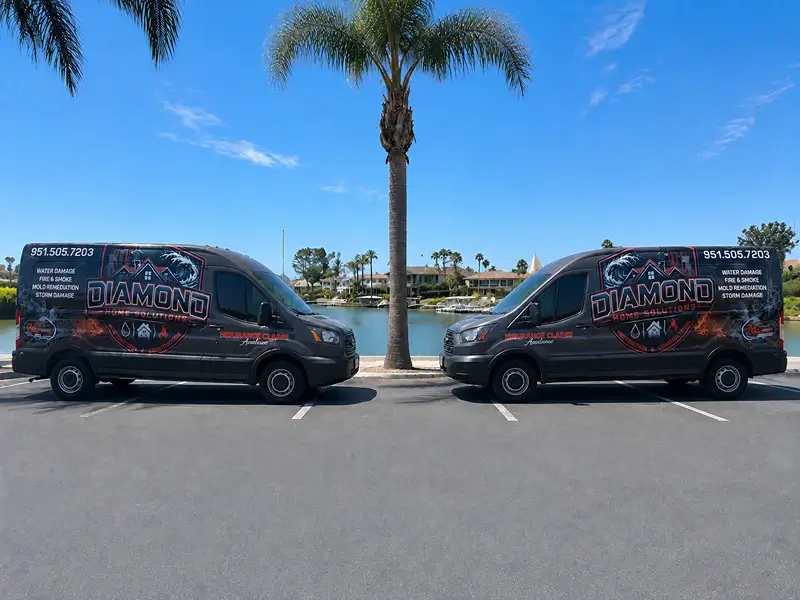 Two branded service vans parked beside a palm tree by the water.