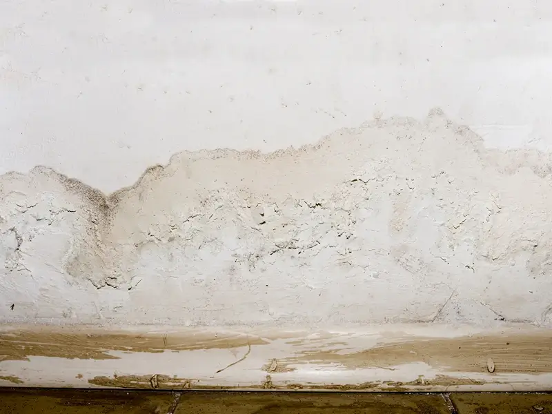 Peeling white wall with water damage and mold stains.